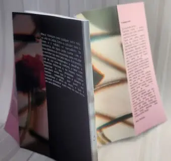 brochura com lombada com capa flexivel